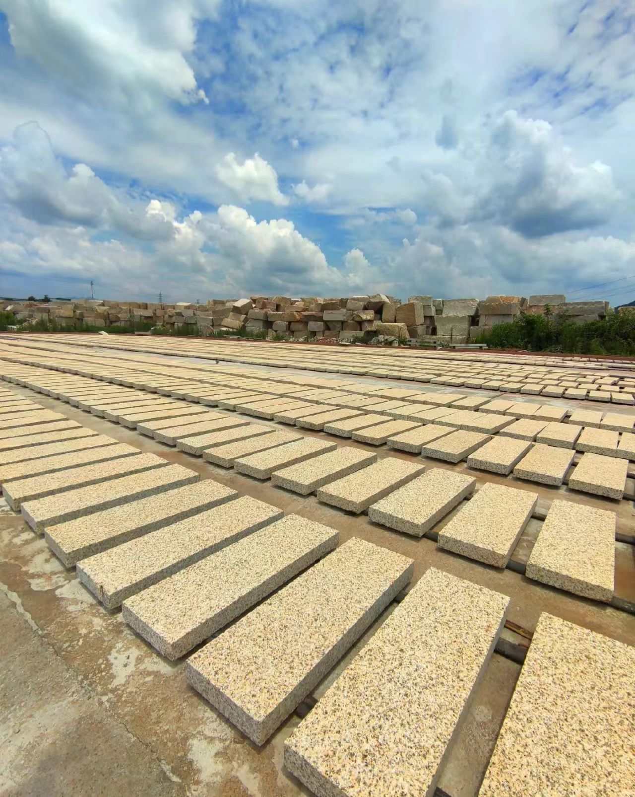 黑河 黄金麻花岗岩荔枝面地铺石防护中